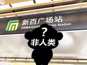 石家庄假食爆料事件视频,揭露食品安全背后的惊人真相 第1张 石家庄假食爆料事件视频,揭露食品安全背后的惊人真相 第1张